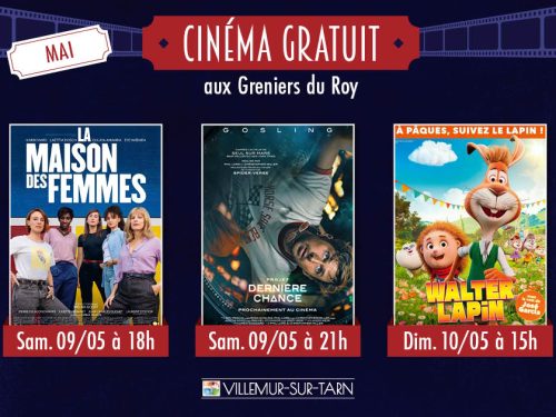 Présentation des 3 films du ciné mai : La Maison des femmes, projet dernière chance et walter lapin