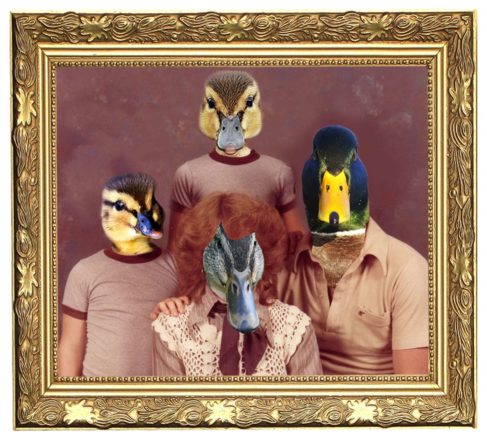 Votez pour l’animal-totem de Villemur !