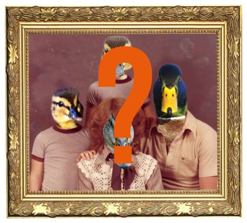 Mardi 26 mars, rendez-vous à La Renaissance pour découvrir l’animal totem qui sera l’emblème de Villemur !