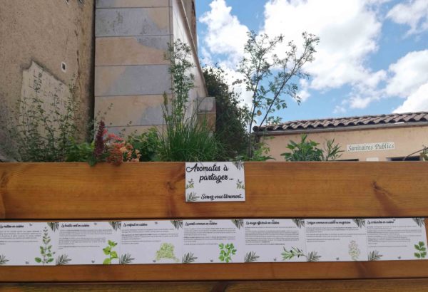 Aromates à partager : servez-vous librement !
