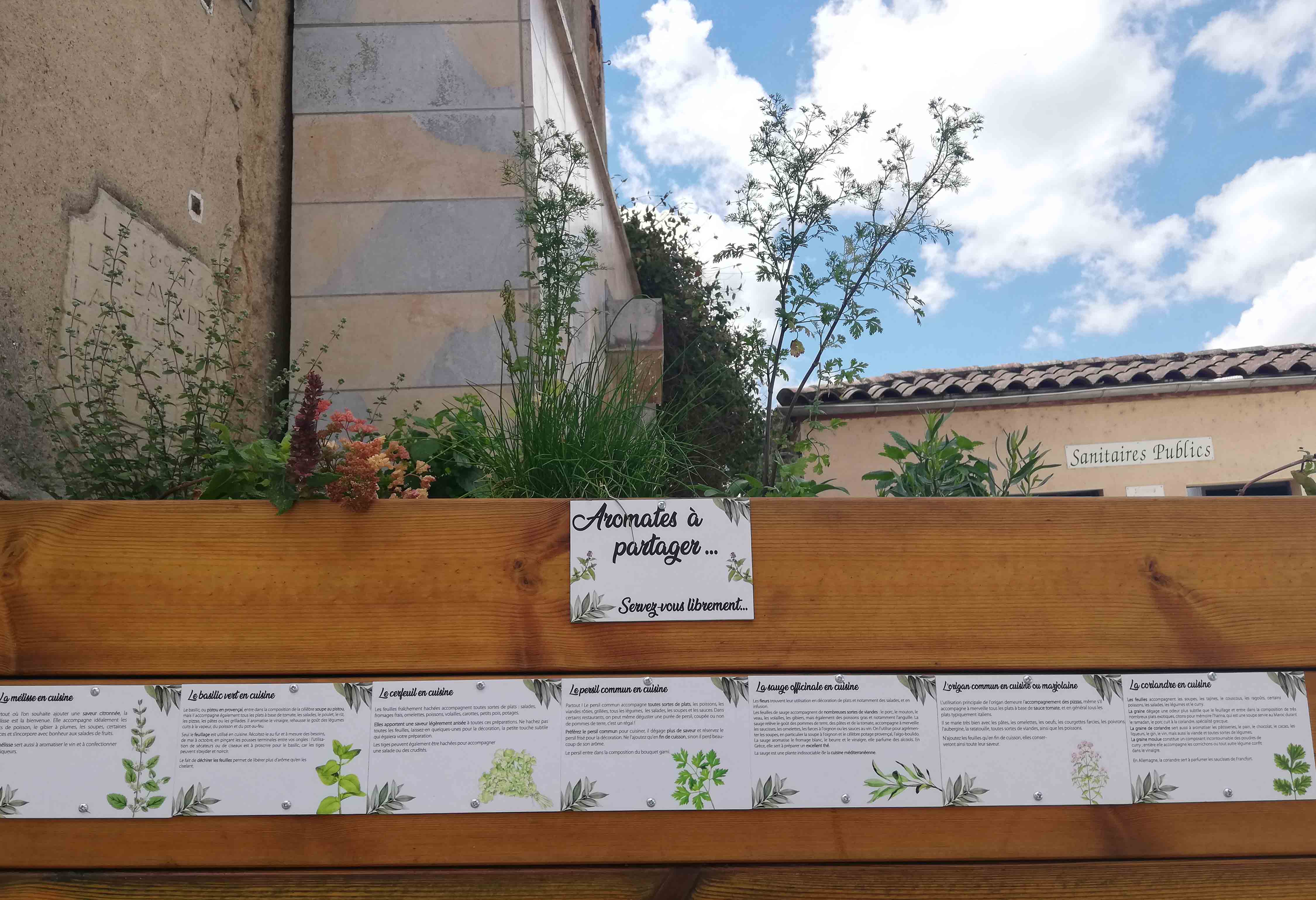 Aromates à partager : servez-vous librement !