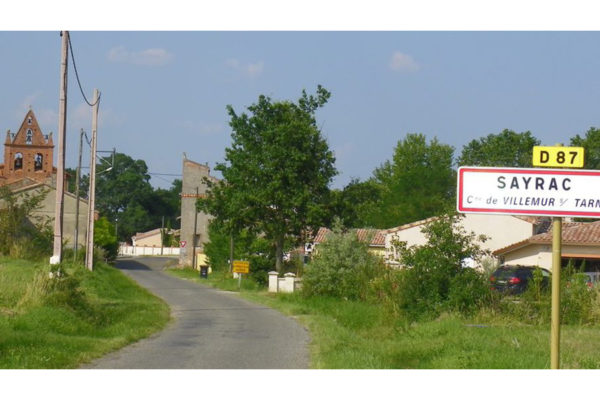 Sayrac : des mûriers-platanes en remplacement de peupliers fragiles