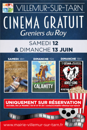 Cinéma gratuit : prochaines séances les 12 et 13 juin – SUR RESERVATION